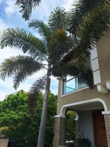 Casa com 6 Quartos à venda, 203m² no Méier, Rio de Janeiro