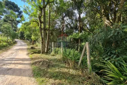 Galpão/Depósito/Armazém com 3 Quartos à venda, 5294m² no Zacarias, São José dos Pinhais