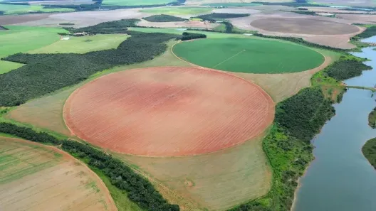 Fazenda/Sítio com 5 Quartos à venda, 343m² no Área Rural de Formosa, Formosa