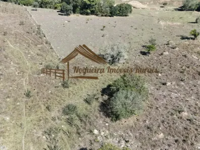 Fazenda/Sítio à venda, 653400m² no Área Rural de Porangaba, Porangaba