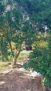 Casa com 2 Quartos à venda, 91m² no Vila Cledi, Gravataí