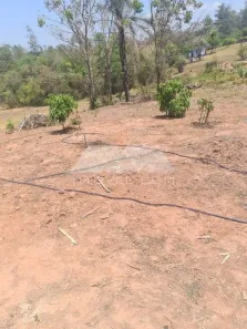 Fazenda/Sítio à venda, 22062m² no Área Rural de Rio Claro, Rio Claro
