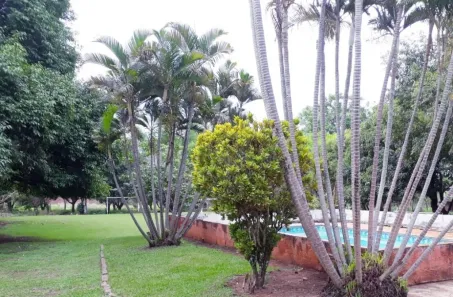 Fazenda/Sítio com 4 Quartos à venda, 12400m² no Conjunto Habitacional Jardim das Palmeiras II, Ribeirão Preto