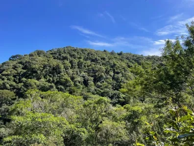 Lote/Terreno à venda, 145200m² no , Campos do Jordão