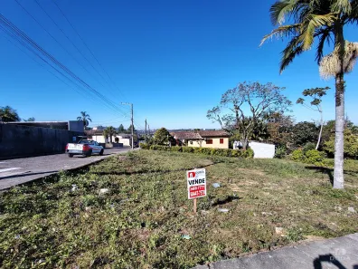 Lote/Terreno à venda, 825m² no Rio Maina, Criciúma
