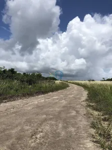 Lote/Terreno à venda, 80000m² no Pipa, Tibau do Sul
