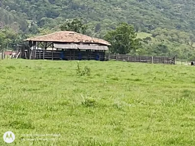 Fazenda/Sítio à venda, 370500m² no , Tijucas