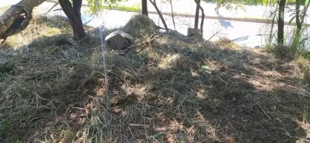 Lote/Terreno à venda, 125m² no Cidade São Pedro - Gleba A, Santana de Parnaíba