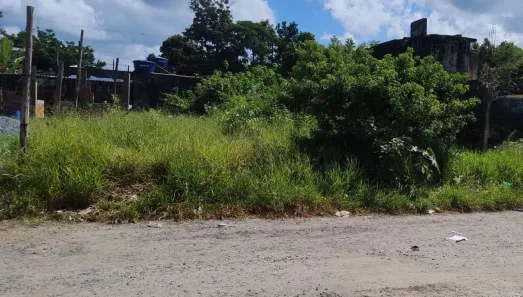 Lote/Terreno à venda, 250m² no Jardim Coronel, Itanhaém