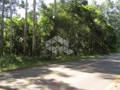 Fazenda/Sítio à venda, 9204m² no Zona Rural, Linha Nova