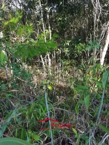 Lote/Terreno à venda, 1110m² no Zona Rural, Jambeiro