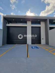 Galpão/Depósito/Armazém para alugar, 250m² no Segismundo Pereira, Uberlândia