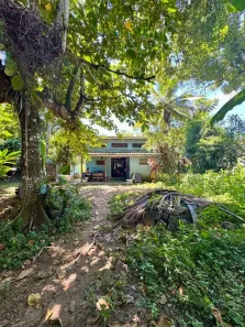Casa com 4 Quartos à venda, 106m² no Cocaia, Ilhabela