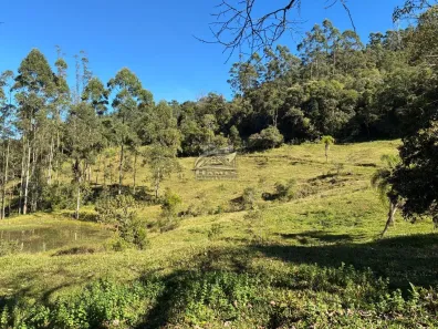 Lote/Terreno à venda, 85225m² no , Angelina