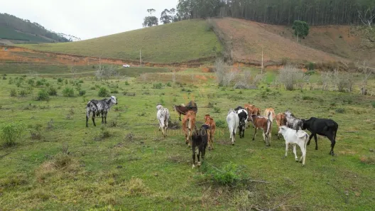 Lote/Terreno à venda, 48400m² no , Domingos Martins