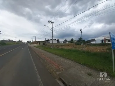 Lote/Terreno à venda, 1000m² no Nossa Senhora de Caravaggio, Nova Veneza