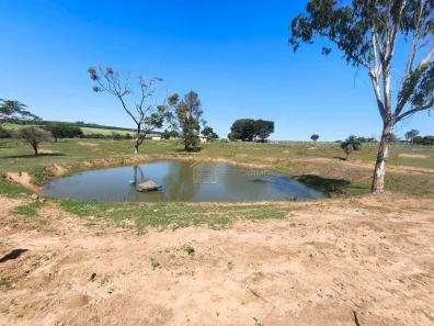 Fazenda/Sítio à venda, 60000m² no Colina do Sul, Bady Bassitt