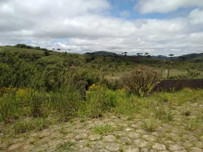 Fazenda/Sítio com 2 Quartos à venda, 2420000m² no , Guapiara