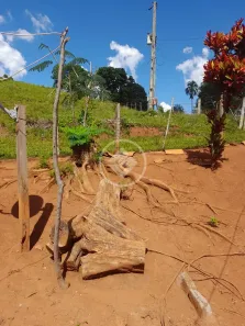 Fazenda/Sítio à venda, 4m² no , Bela Vista de Goiás