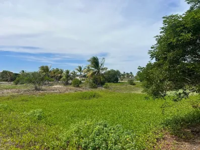 Lote/Terreno à venda, 40000m² no , Piaçabuçu