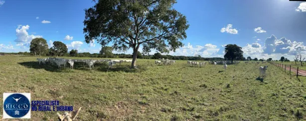 Fazenda/Sítio com 3 Quartos à venda, 159m² no Setor Central, Araguaçu