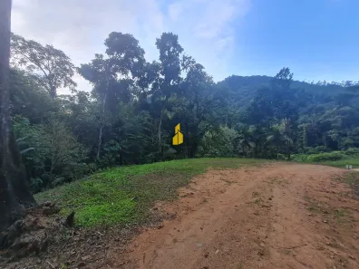 Fazenda/Sítio com 1 Quarto à venda, 36000m² no Cedro Alto, Rio dos Cedros