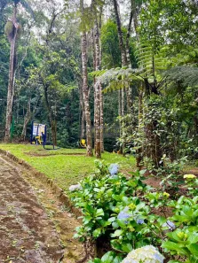 Casa com 3 Quartos à venda, 280m² no Roseira, Mairiporã