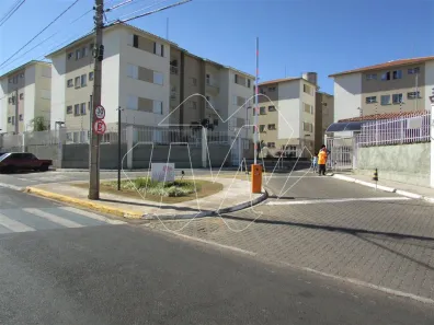 Apartamento com 2 Quartos à venda, 49m² no Doutor Tancredo de Almeida Neves, Araraquara
