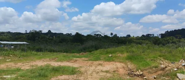 Fazenda/Sítio com 1 Quarto à venda, 60000m² no Estados, Fazenda Rio Grande