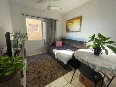 Apartamento com 2 Quartos à venda, 45m² no Conjunto Semiramis Barros Braga, Londrina