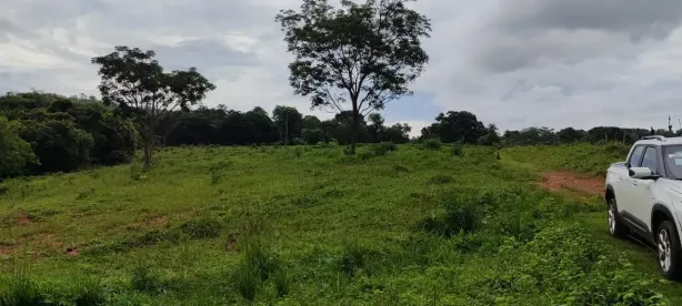 Fazenda/Sítio à venda, 3m² no , Cezarina