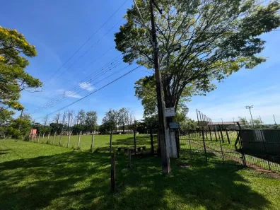 Fazenda/Sítio com 1 Quarto à venda, 100m² no Cafezal, Londrina