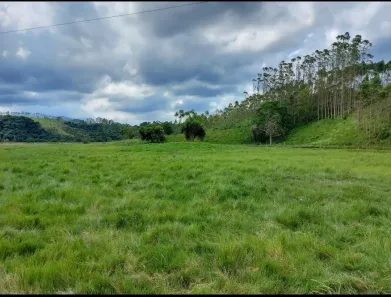 Fazenda/Sítio com 4 Quartos à venda, 1452000m² no Cesário Alvin, Silva Jardim