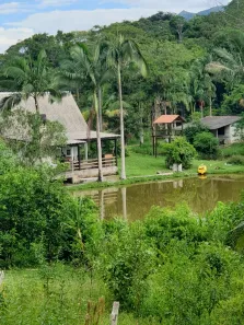 Fazenda/Sítio à venda, 80000m² no , Morretes