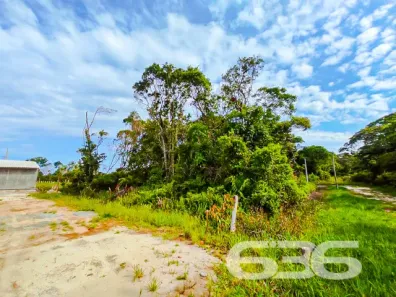 Lote/Terreno à venda, 360m² no Praia do Ervino, São Francisco do Sul