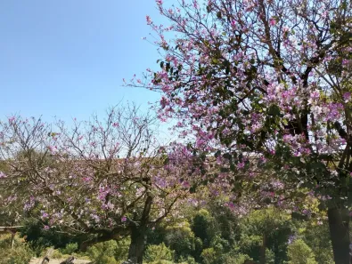 Fazenda/Sítio com 1 Quarto à venda, 120m² no , Salto de Pirapora