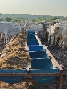 Fazenda/Sítio à venda, 10500000m² no Centro, Torixoréu