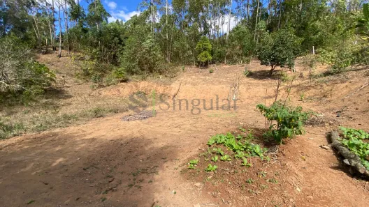 Lote/Terreno à venda, 1000m² no Coronel Pacheco, Coronel Pacheco