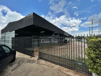 Galpão/Depósito/Armazém com 1 Quarto para alugar, 500m² no Colônia Dona Luíza, Ponta Grossa