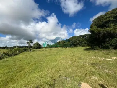Lote/Terreno à venda, 1000m² no Área Rural de Águas Claras, Viamão