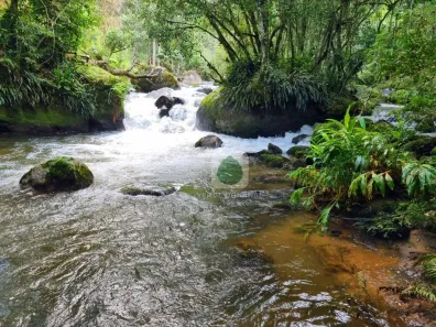 Lote/Terreno à venda, 13700m² no , Gonçalves