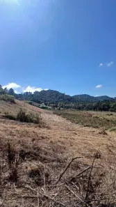Fazenda/Sítio à venda, 20000m² no , Gonçalves