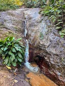 Fazenda/Sítio com 3 Quartos à venda, 90000m² no , Domingos Martins