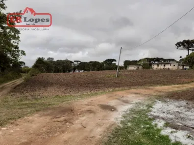 Lote/Terreno à venda, 101950m² no Costeira, São José dos Pinhais