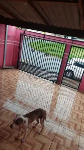 Casa com 3 Quartos à venda, 172m² no San Fernando, Londrina