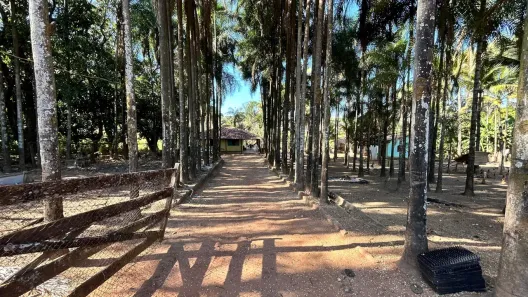 Fazenda/Sítio com 3 Quartos à venda, 4100m² no Itapoã, Aparecida de Goiânia