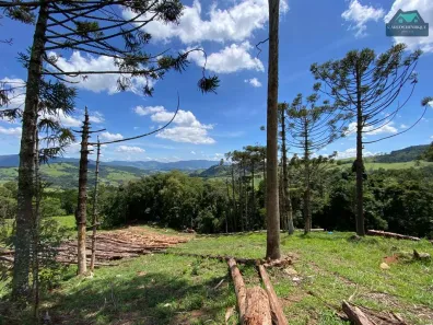 com 1 Quarto à venda, 25000m² no Vila Centro, Extrema