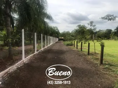 Casa com 3 Quartos à venda, 5000m² no , Sertaneja