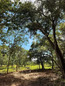 Lote/Terreno à venda, 2000m² no , Varjão