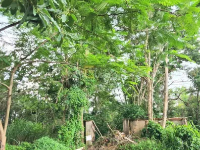 Lote/Terreno à venda, 1546m² no Buracão, Vinhedo